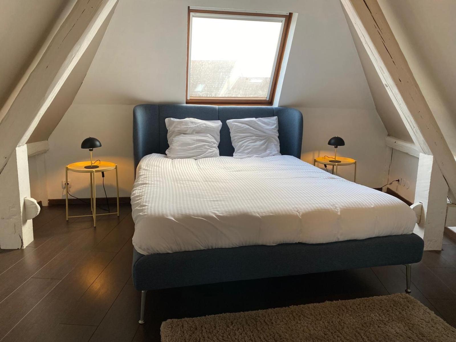 Duplex Le Vestige * Metz