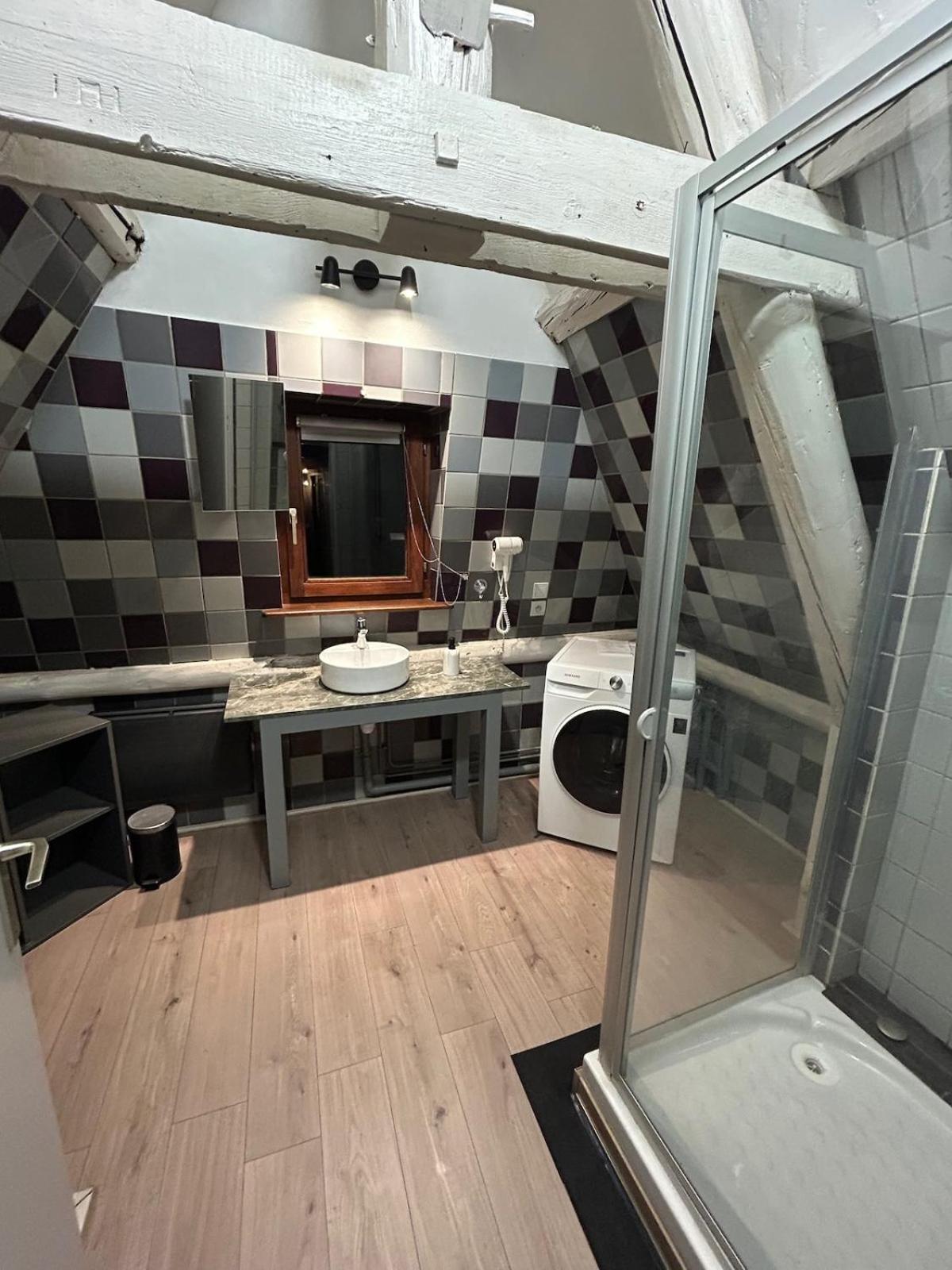 Duplex Le Vestige * Metz